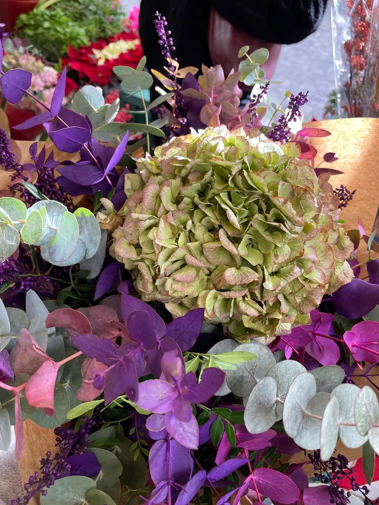 Hortensia preservada
